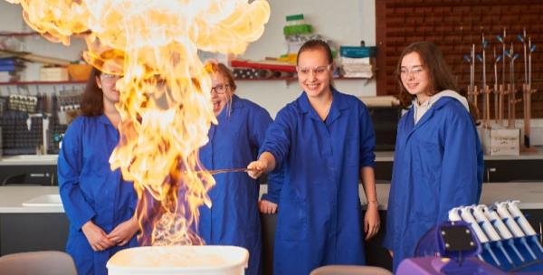 2019 in independent education