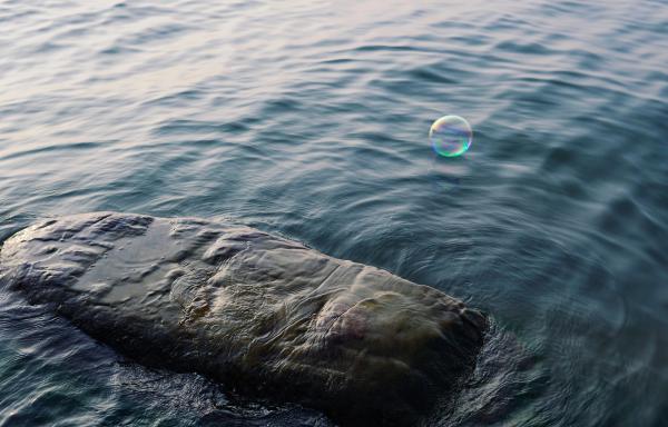 Has Private Education’s Bubble Burst?